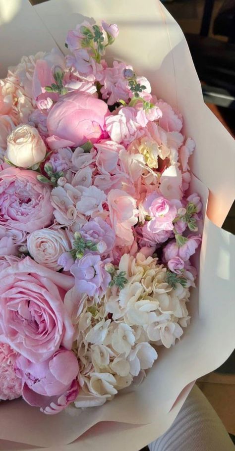 What are Your Roots? Understanding your Roots in Order to&nbsp;Bloom