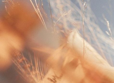 New Year, New&nbsp;Mindset