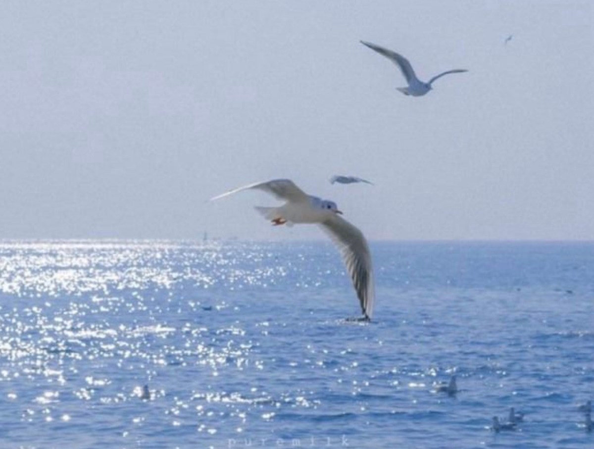 Gain Your Power&nbsp;Back