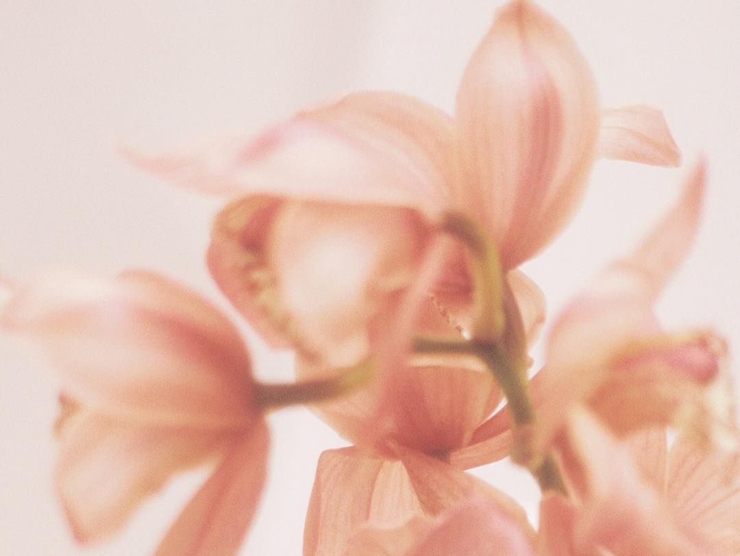 Who are you&nbsp;Becoming?